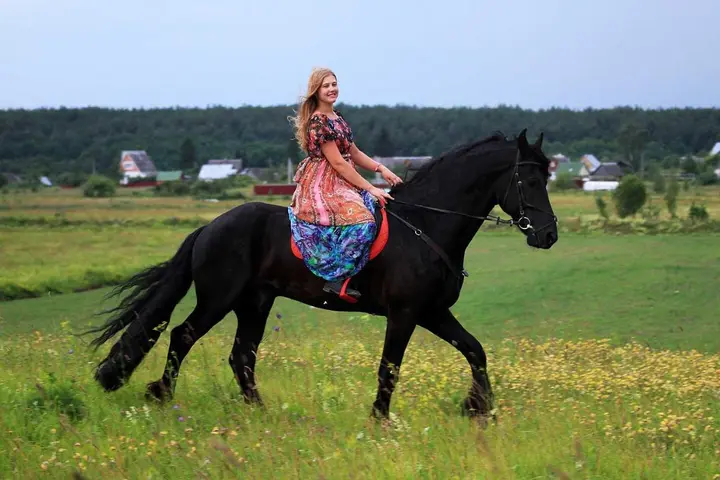 Печки: Inn First Horse