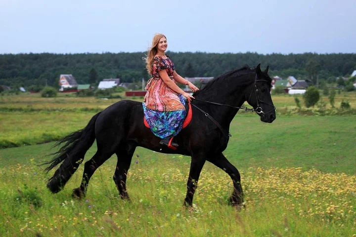 Печки: Inn First Horse
