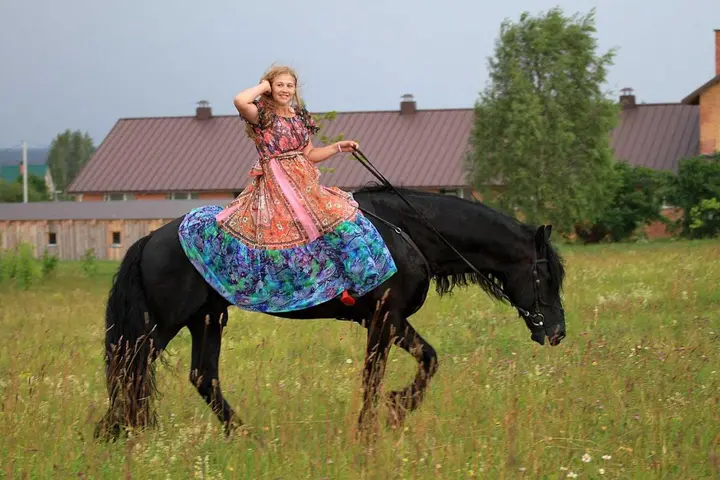 Печки: Inn First Horse