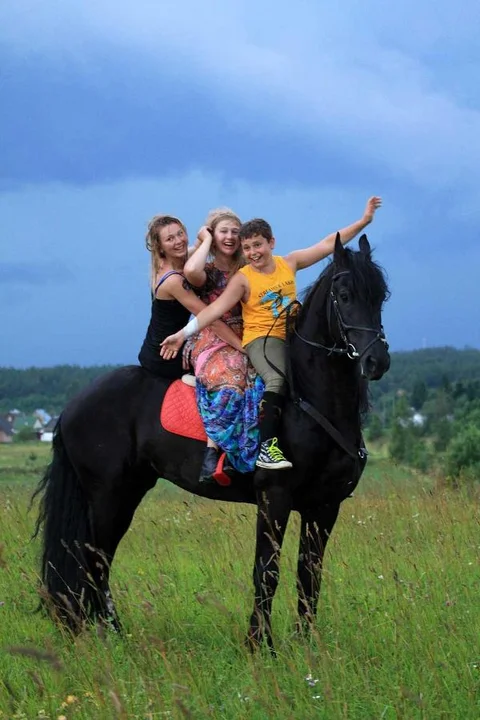 Печки: Inn First Horse