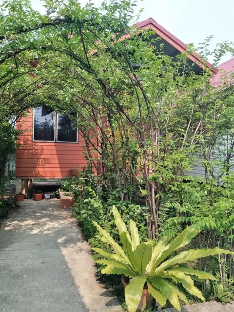 Пхитсанулок: Garden Home Resort