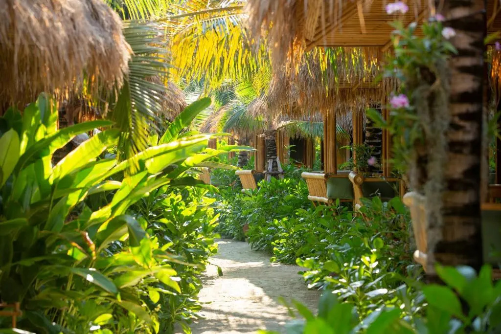 Пхи-Пхи-Дон: Phi Phi CoCo Beach Resort