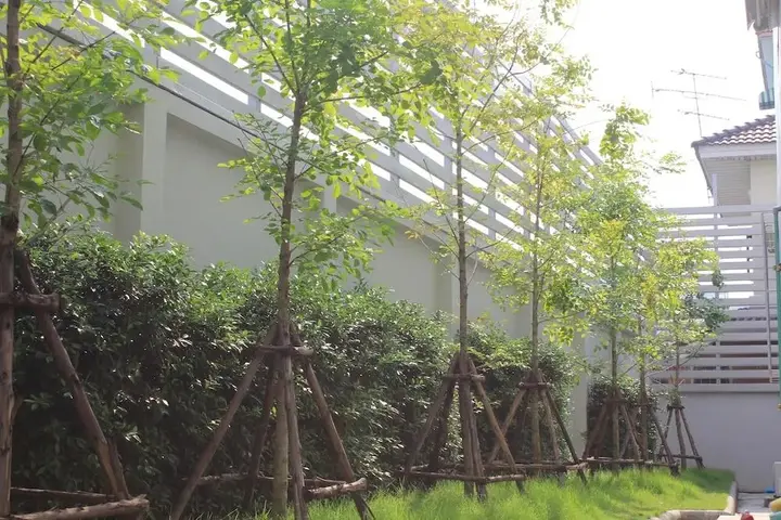 Бангкок: UTD Apartments Sukhumvit
