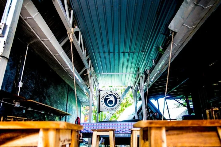 Мэй-Хаад-Бэй: Dpm Diving Hostel & Bar Koh Tao