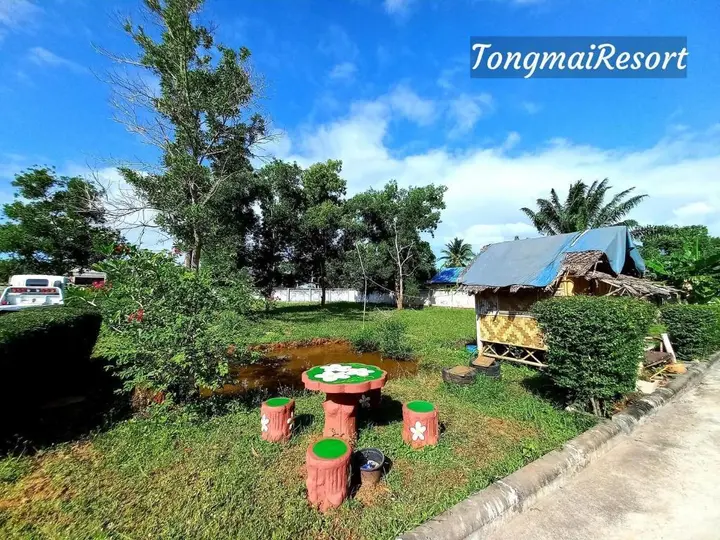 Сураттхани: Tongmai Resort