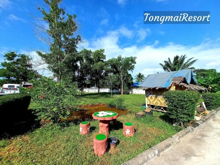 Сураттхани: Tongmai Resort