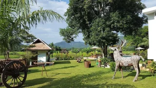 Дой-Сакет: Rice and Zen Boutique Resort
