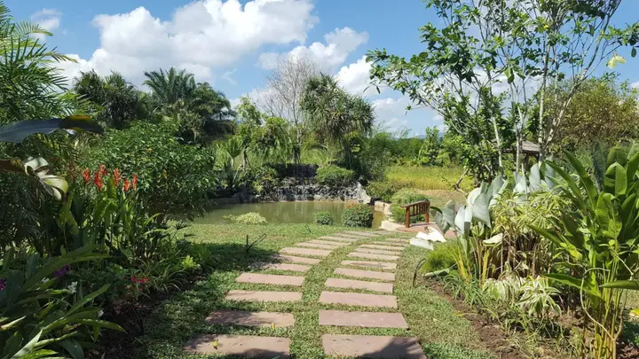 Дой-Сакет: Rice and Zen Boutique Resort