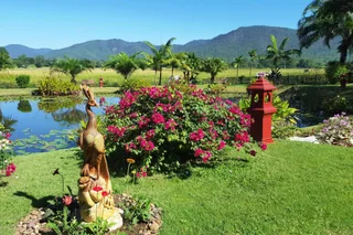 Дой-Сакет: Rice and Zen Boutique Resort