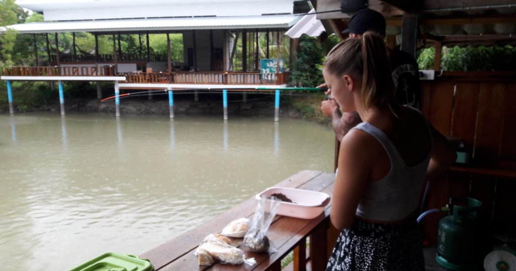 Ко-Пханган: Phangan Farm Stay Resort
