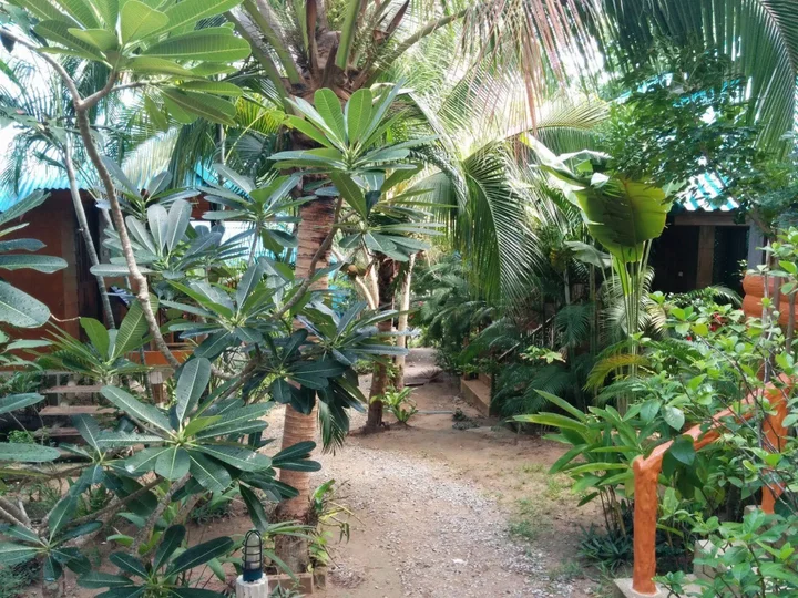 Остров Тау: Koh Tao Beachside Resort