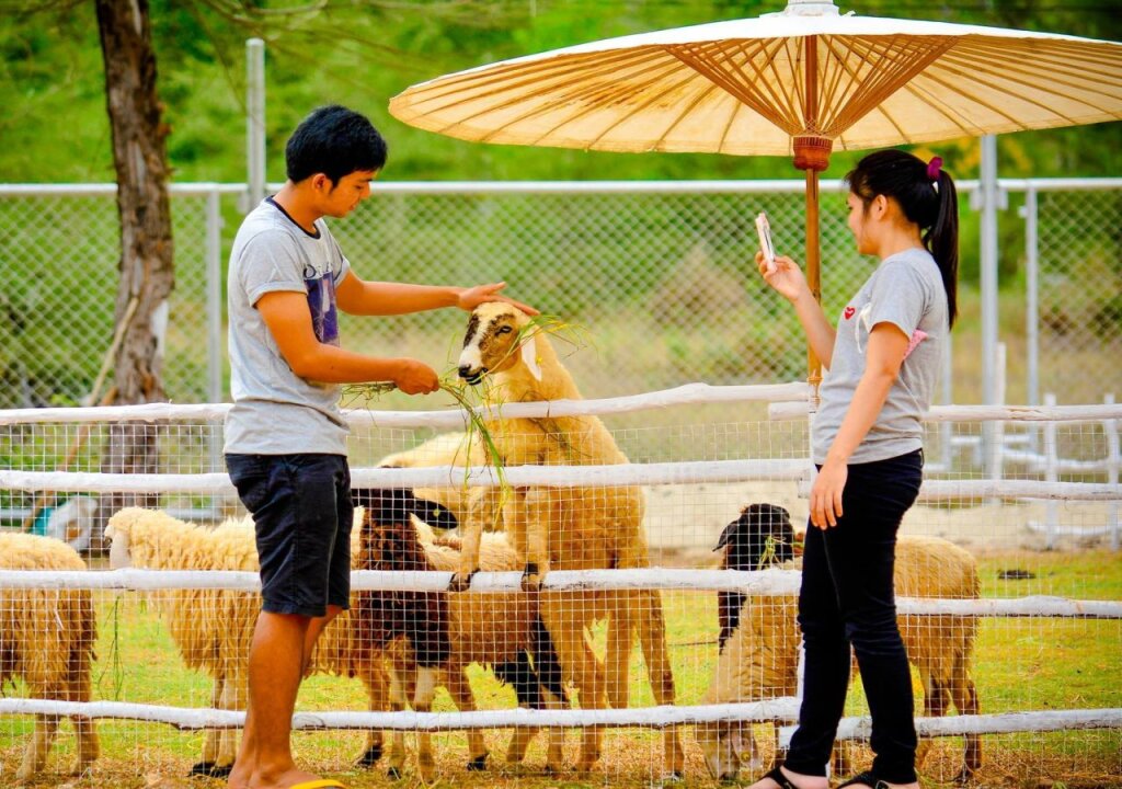 Samila Camping and Resort Songkhla — фото 6