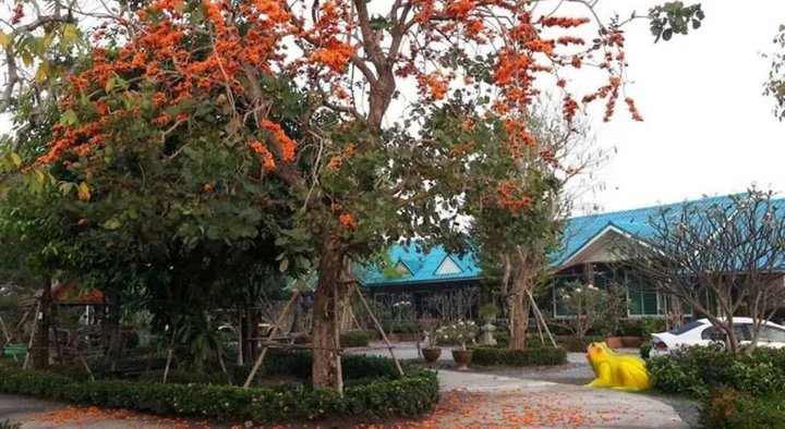 Рынок Сам Чук: Punpisa Resort
