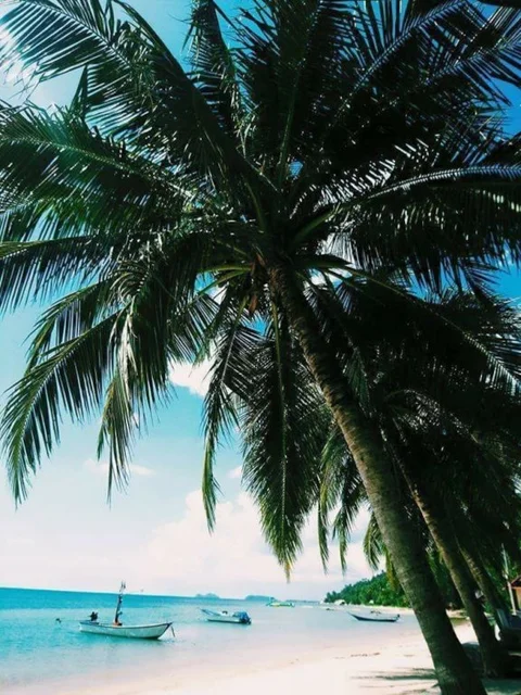 Ко-Пханган: Sun Beach Bungalows