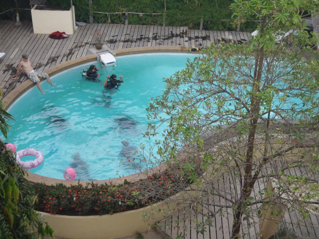 Остров Тау: Silver Sands Beach Resort