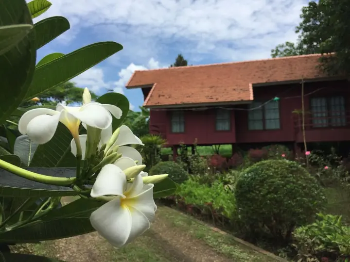Ханг Донг: Chiangmai Royal Creek