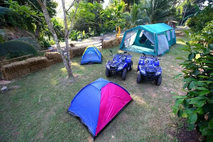 Тай-Муанг: Baan Suan Tayida Homestay