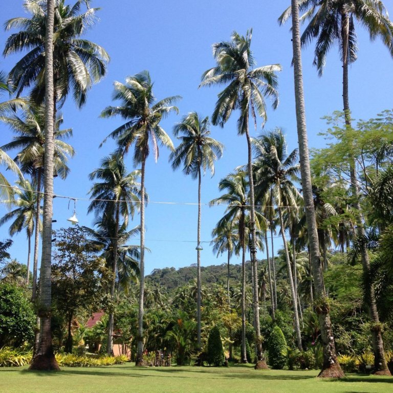 Ко Куд: Ko Kut Ao Phrao Beach Resort