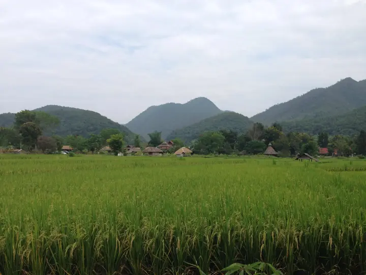 Паи: Pai Chan Cottage & Cuisine