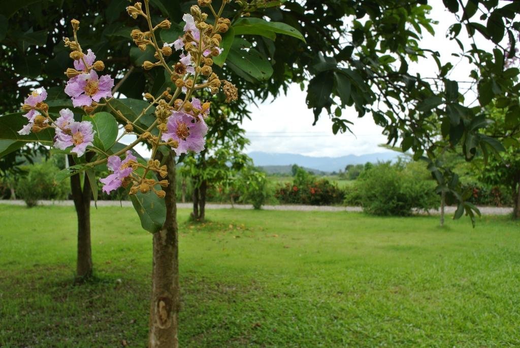 Мае-Таенг: Suan Fasai Resort