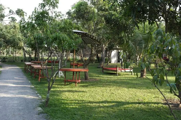 Сарапхи: Racha Herb Gardens