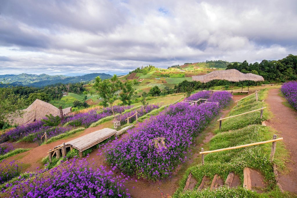 Swankiri Exclusive Farm Resort — фото 4