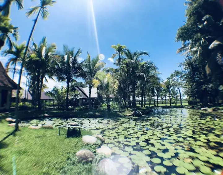 Дой-Сакет: Suwannatara Resort