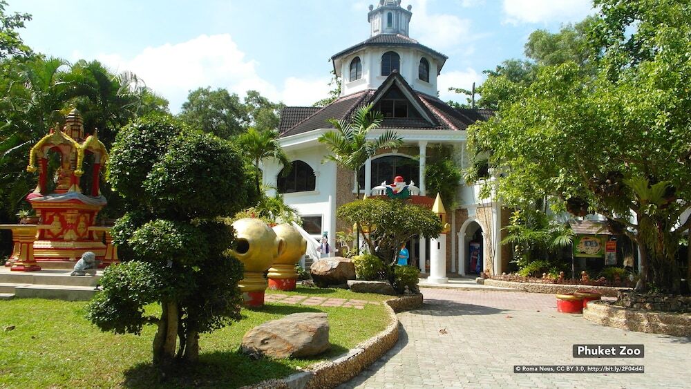 Кату: ZEN Hostel Patong
