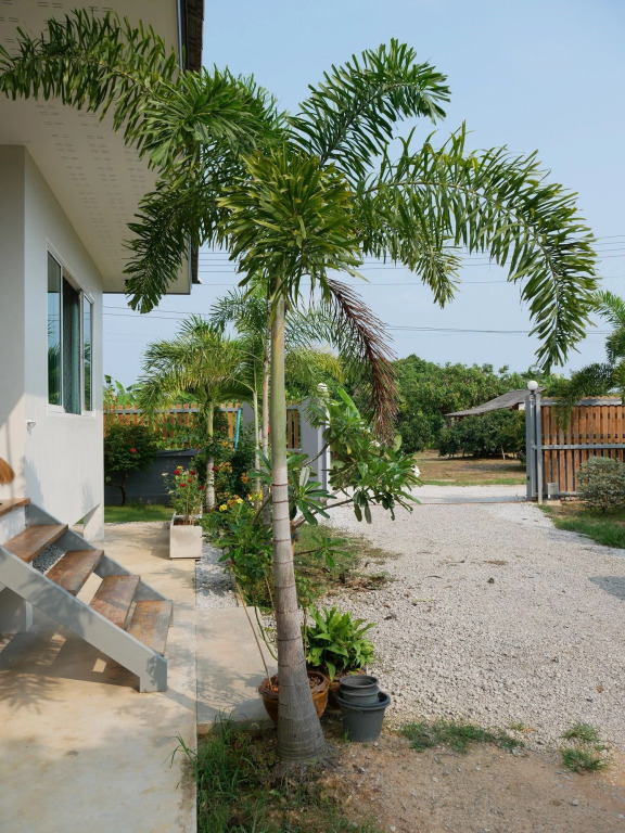 Районг: Mangogarden Guesthouse