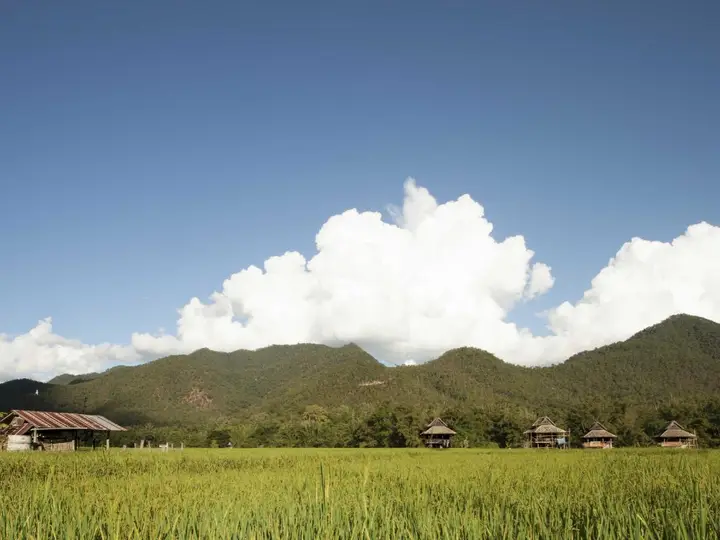 Blue Sky Pai Resort — фото 2