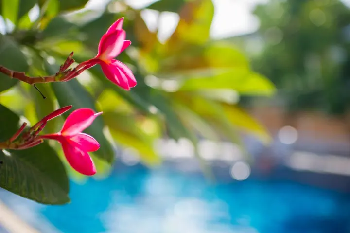 Паттайя: Отель PK Resort Pattaya