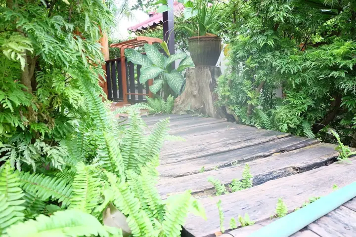 Районг: Tonsak Resort