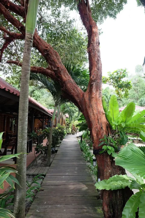 Районг: Tonsak Resort