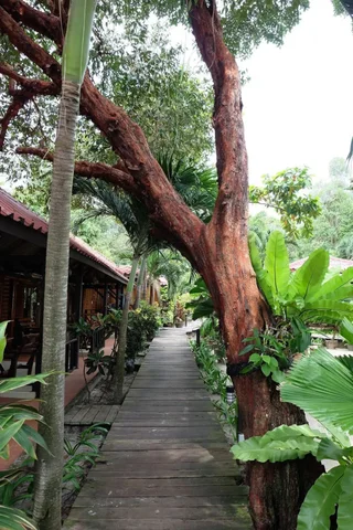 Районг: Tonsak Resort