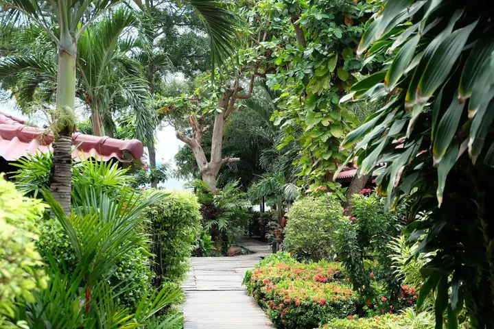 Районг: Tonsak Resort