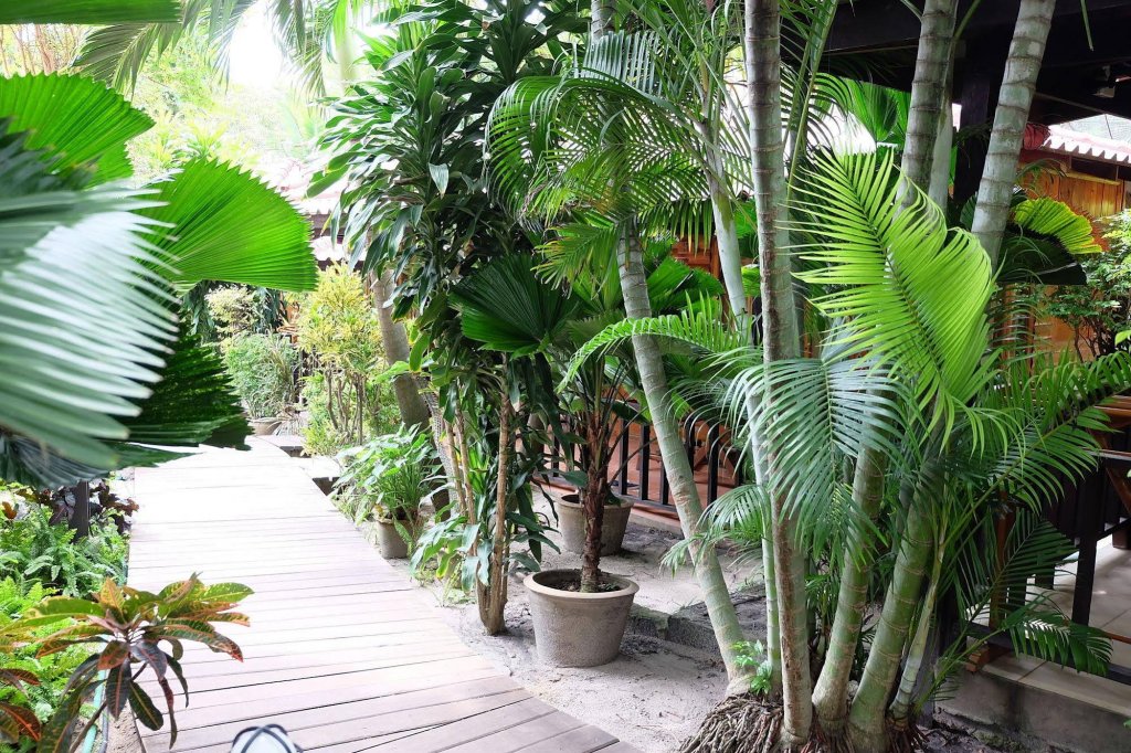 Районг: Tonsak Resort