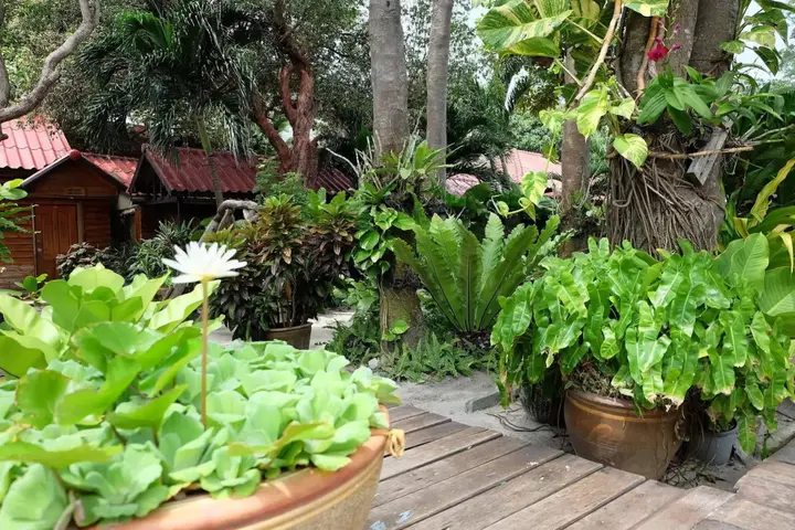 Районг: Tonsak Resort
