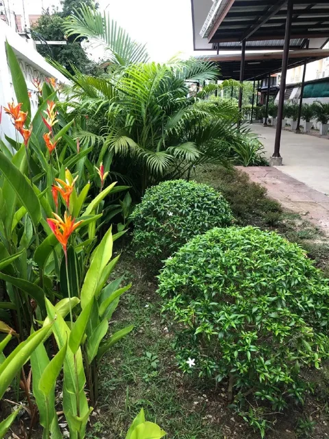 Аюттхая: Phromsuk Hotel Ayutthaya