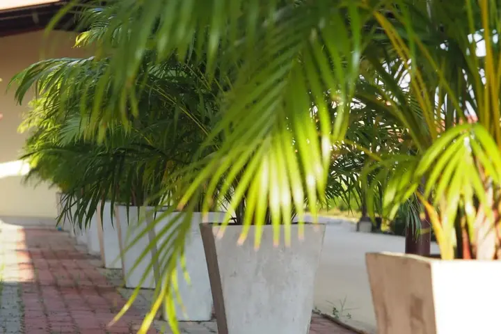 Аюттхая: Phromsuk Hotel Ayutthaya