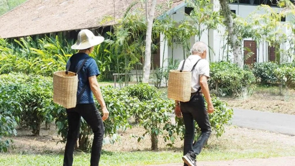 Мае-Таенг: Baan Rai Klai Weang Homestay