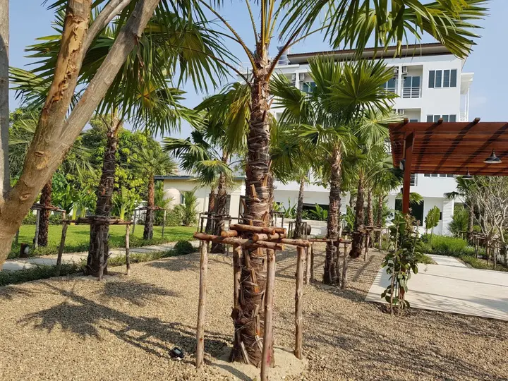 Канчанабури: Chez Bure - Bure Homestay