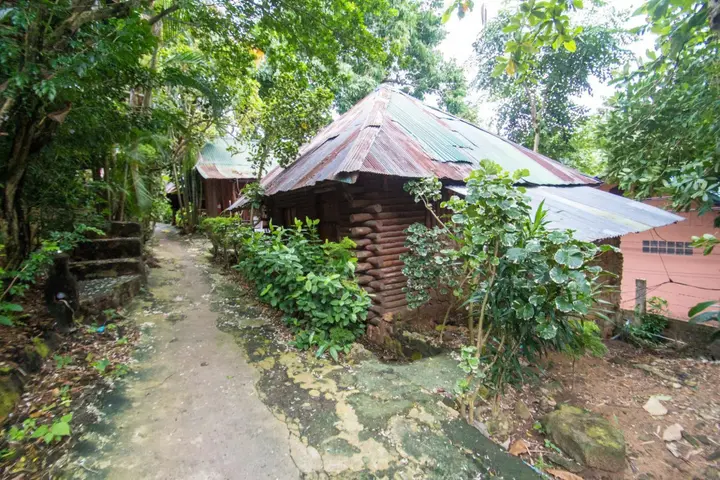Пхи-Пхи-Дон: Tropical Garden Bungalow