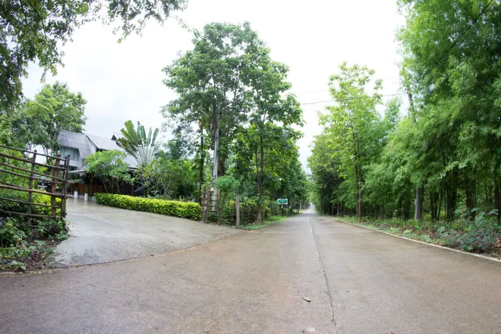 Паи: Baan salee pai