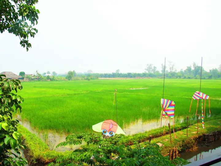 Mingalarpar Resort — фото 1