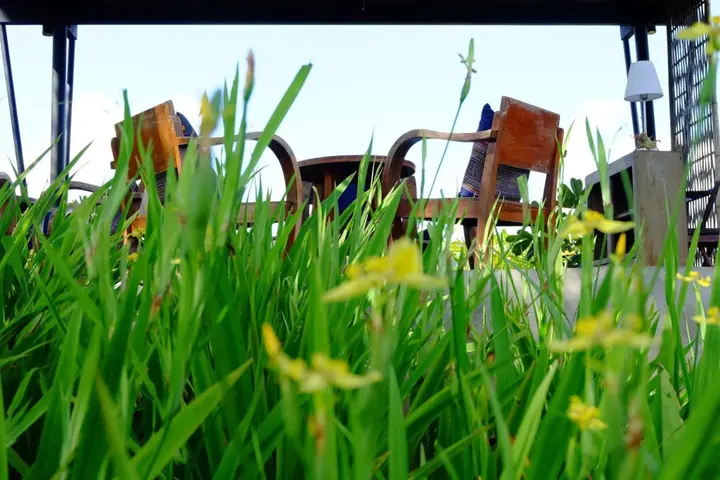 Мае-Таенг: Mok Far Mont Ngo Resort