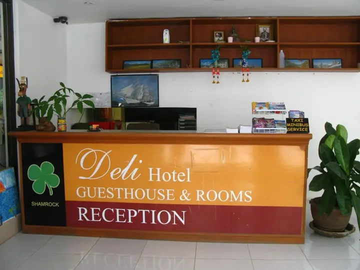 Shamrock Park Inn — фото 4