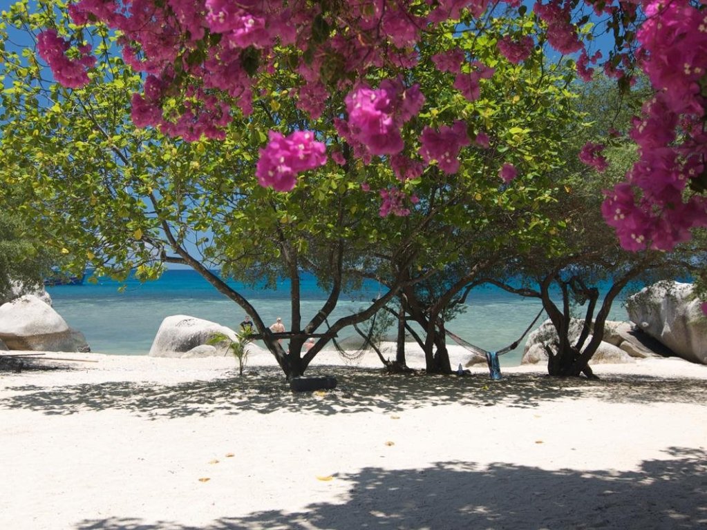 Остров Тау: View Point Resort Koh Tao