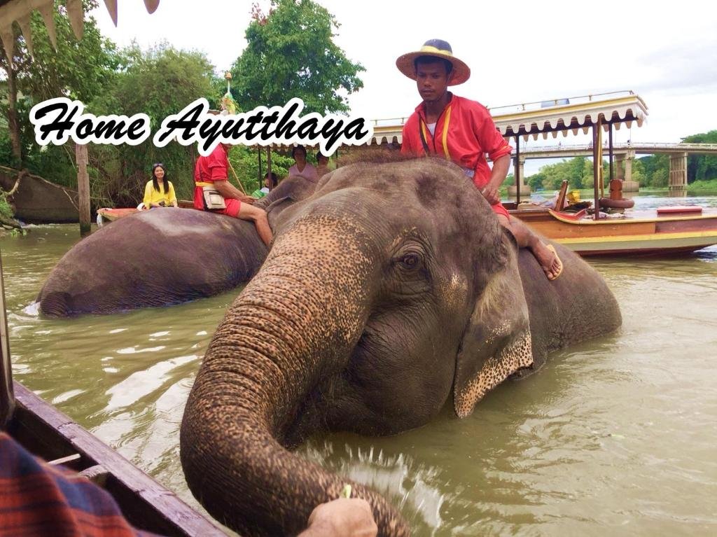 Аюттхая: Home Ayutthaya