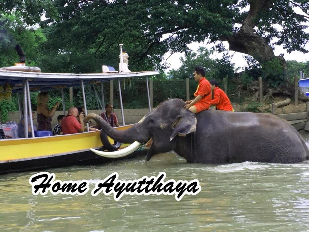 Аюттхая: Home Ayutthaya