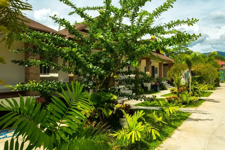 Курортный Отель Lipa Bay Residence — фото 4